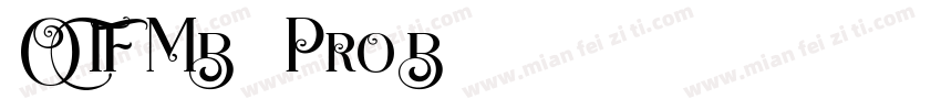 -OTF MB101 Pro B字体转换